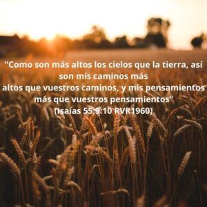 DEVOCIONAL – DIOS TIENE UN PLAN MÁS GRANDE QUE EL TUYO.