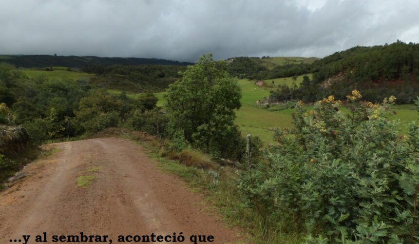 ¿Cómo preparar un terreno para la siembra?