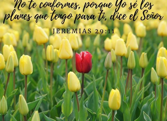 ¡No te Conformes!