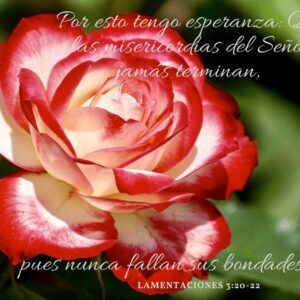 Amor que Persevera