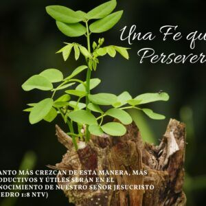 Fe que Persevera