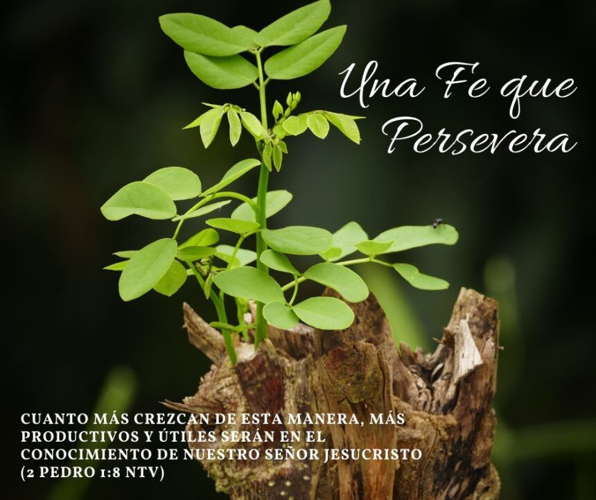 Fe que Persevera