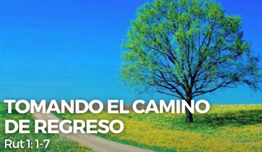 TOMANDO EL CAMINO DE REGRESO (Agosto 24 del 2021)