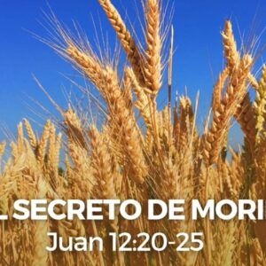 EL SECRETO DE MORIR (octubre 17 del 2021)