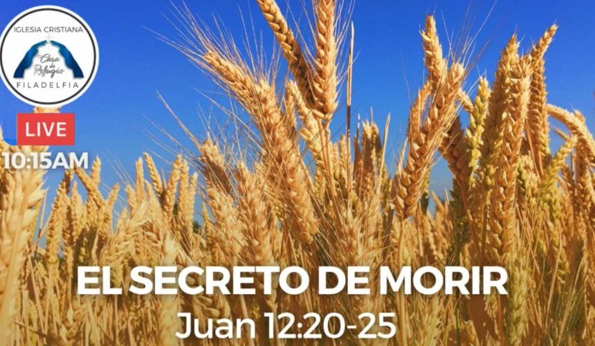 EL SECRETO DE MORIR (octubre 17 del 2021)