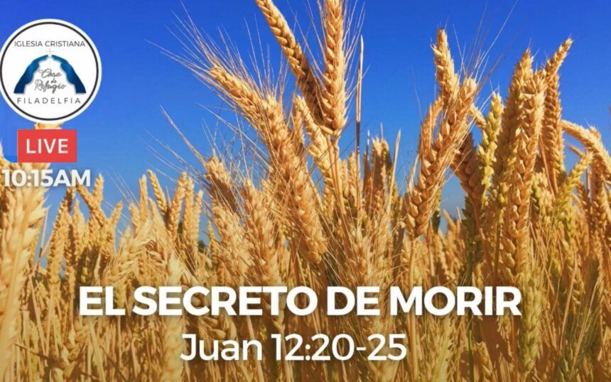 EL SECRETO DE MORIR (octubre 17 del 2021)