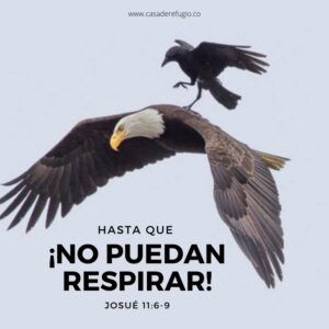 ¡Hasta que no puedan Respirar!