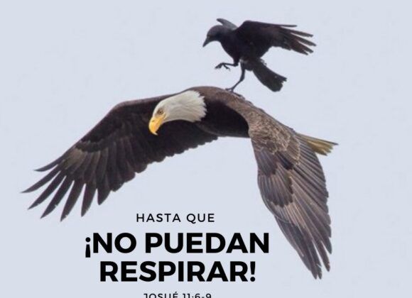 ¡Hasta que no puedan Respirar!