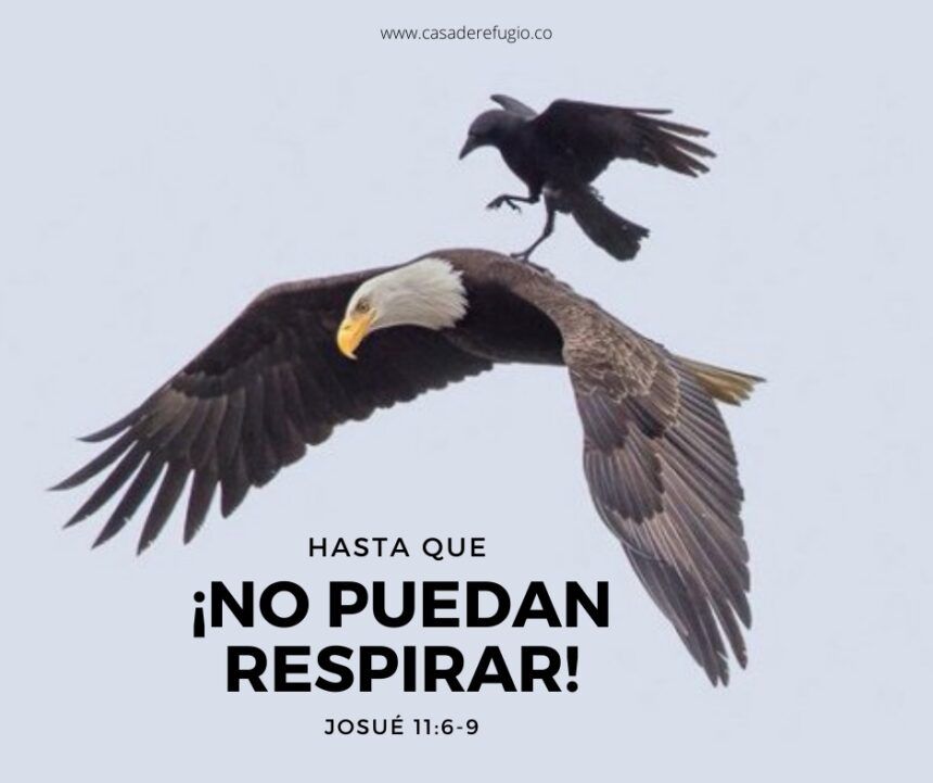 ¡Hasta que no puedan Respirar!