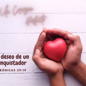 Corazón Perfecto