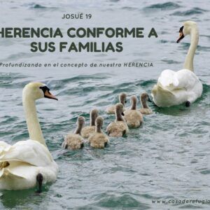 Herencia Conforme a sus Familias