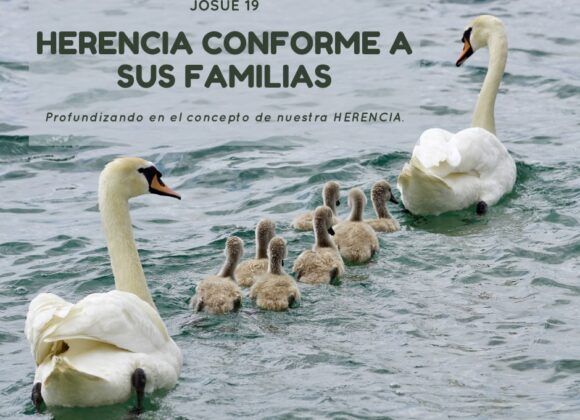 Herencia Conforme a sus Familias