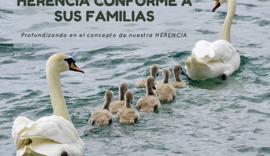 Herencia Conforme a sus Familias