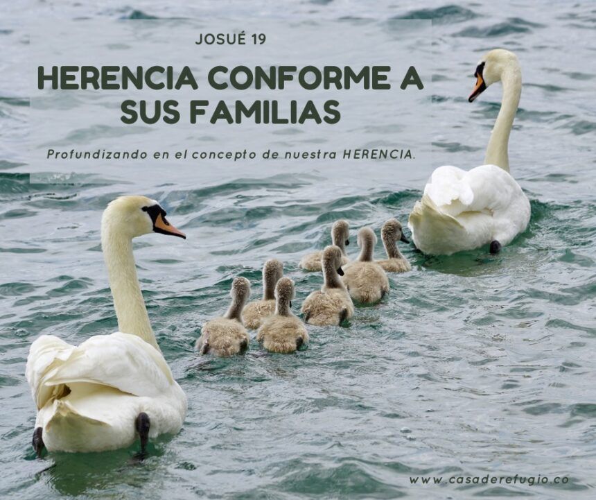 Herencia Conforme a sus Familias