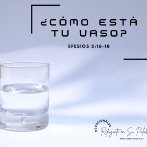 ¿Cómo está tu Vaso?