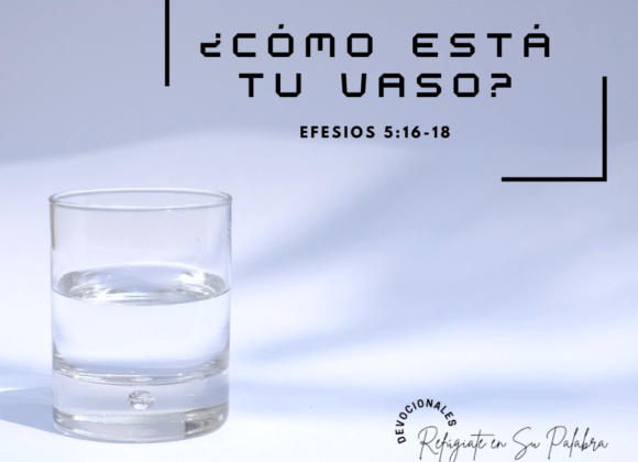 ¿Cómo está tu Vaso?