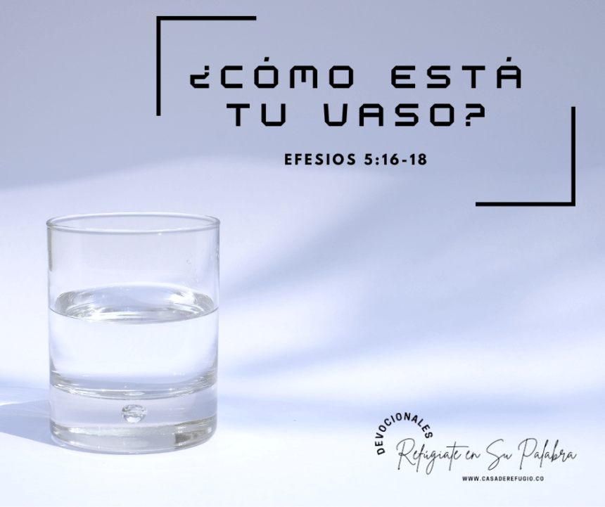 ¿Cómo está tu Vaso?