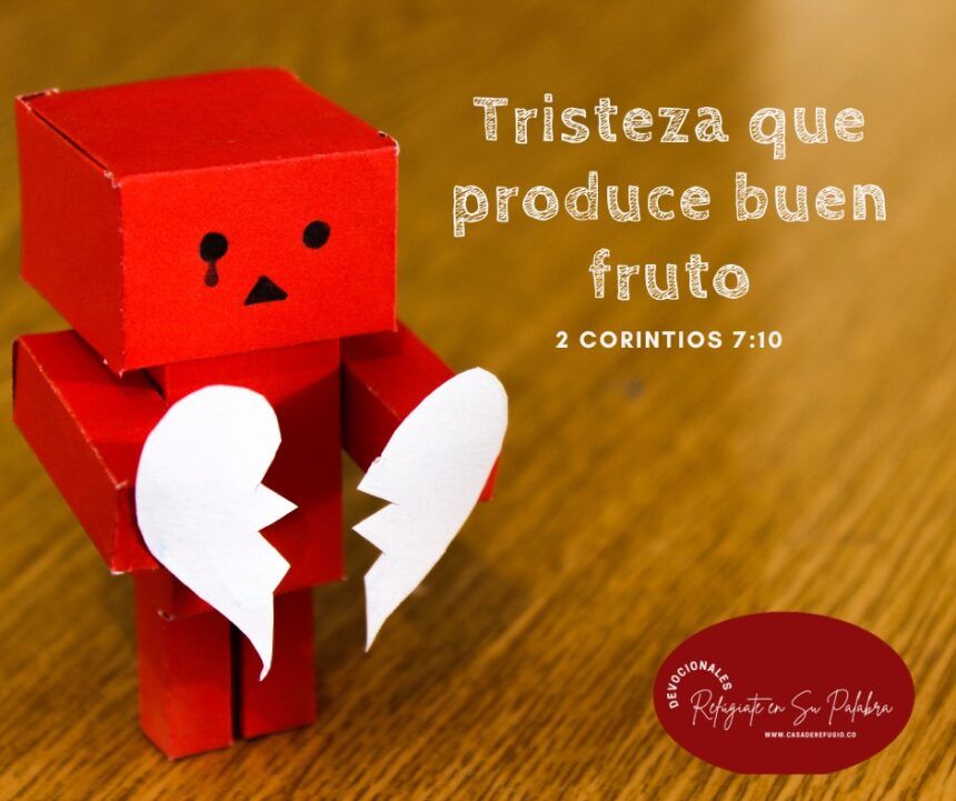 La Tristeza que produce Buen Fruto