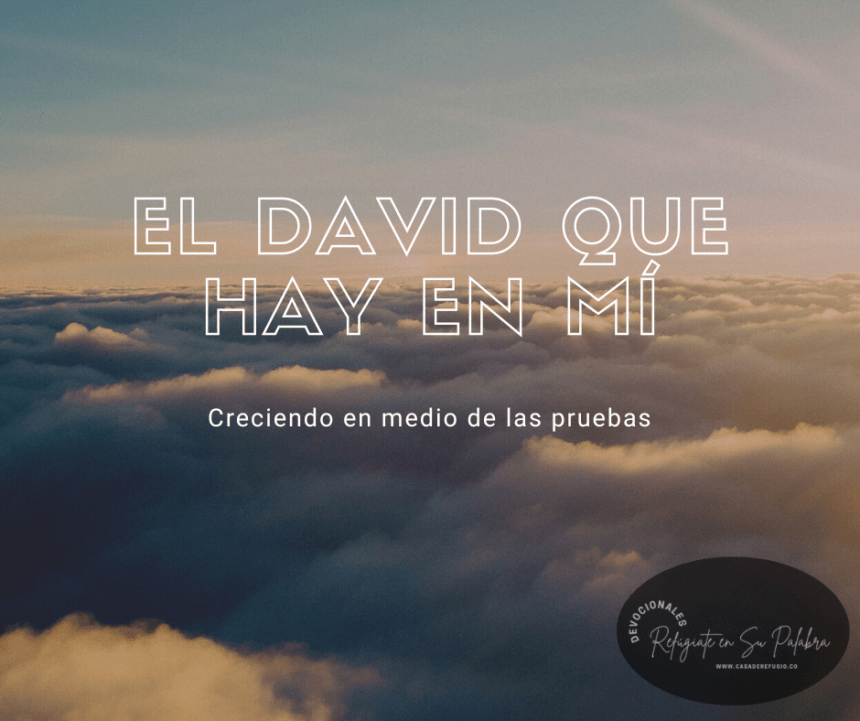 El David que hay en mí