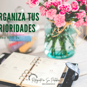 Organiza tus prioridades