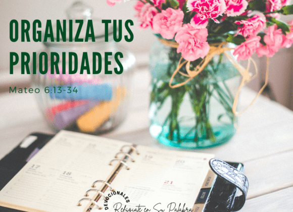 Organiza tus prioridades