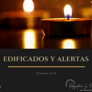 Edificados y Alertas