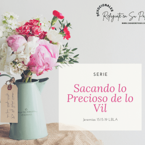 Serie: Sacando lo Precioso de lo Vil III