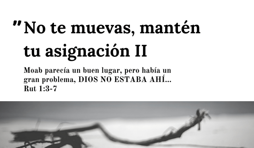 Serie: No te muevas, Mantén tu asignación II