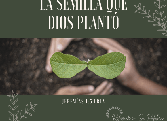 La Semilla que Dios plantó