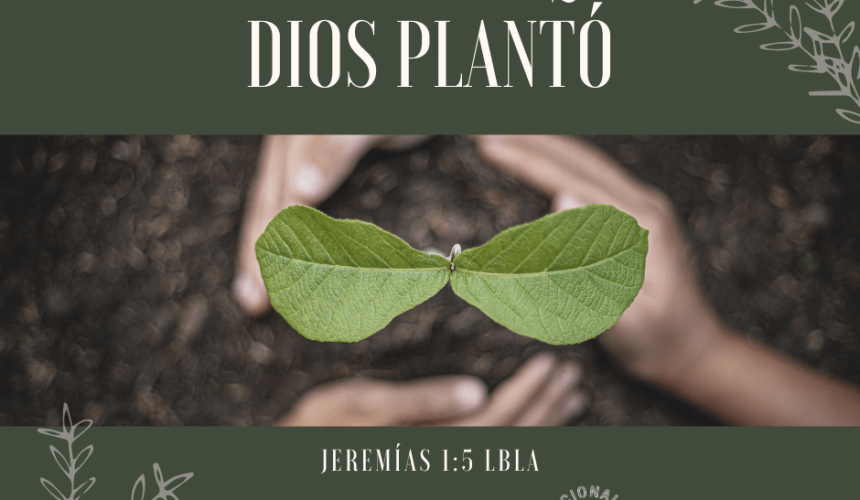 La Semilla que Dios plantó