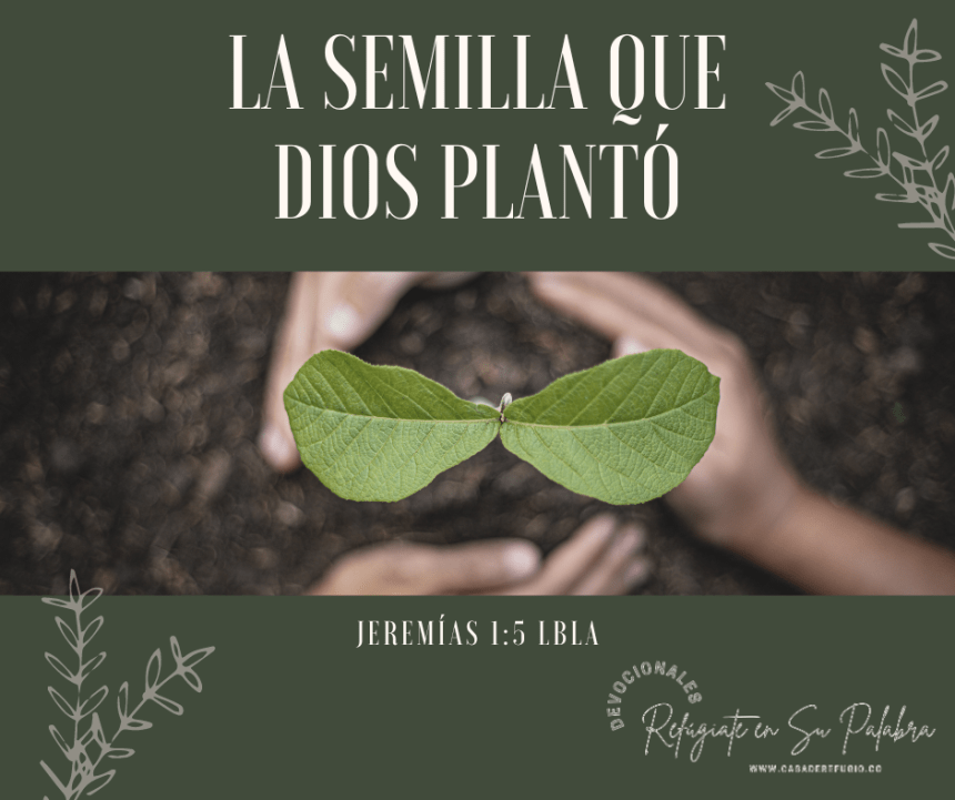 La Semilla que Dios plantó