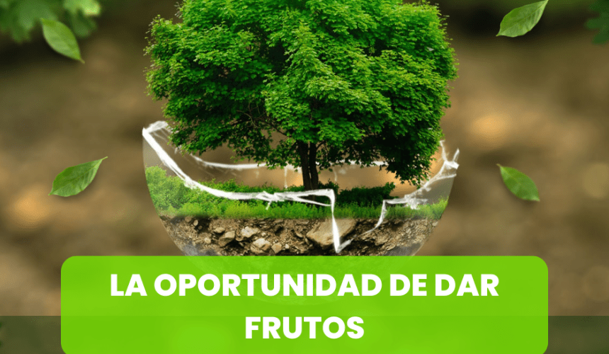 La Oportunidad de Dar Frutos