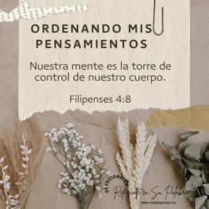 Ordenando mis Pensamientos