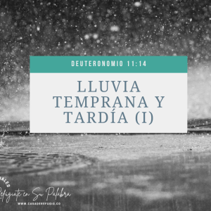 Serie: Lluvia Temprana y Tardía (I)