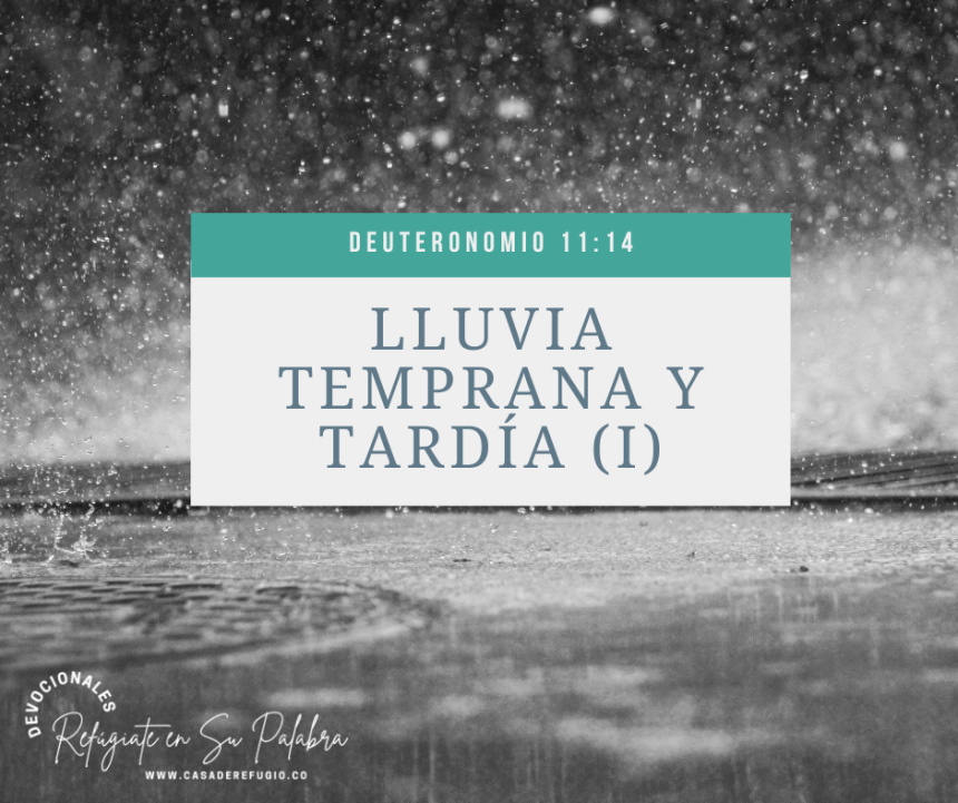 Serie: Lluvia Temprana y Tardía (I)