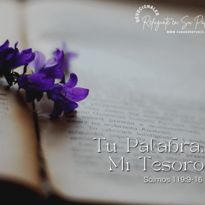 Tu Palabra, Mi Tesoro