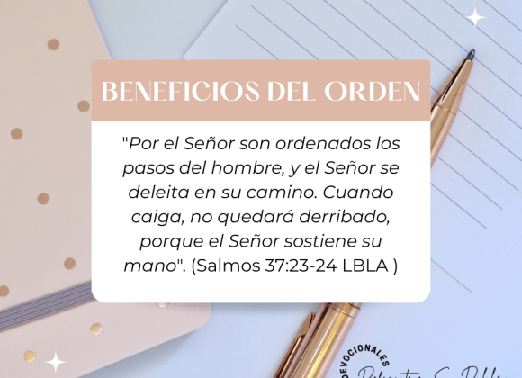 Beneficios del Orden