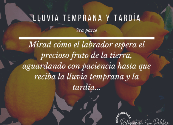 Lluvia Temprana y Tardía III