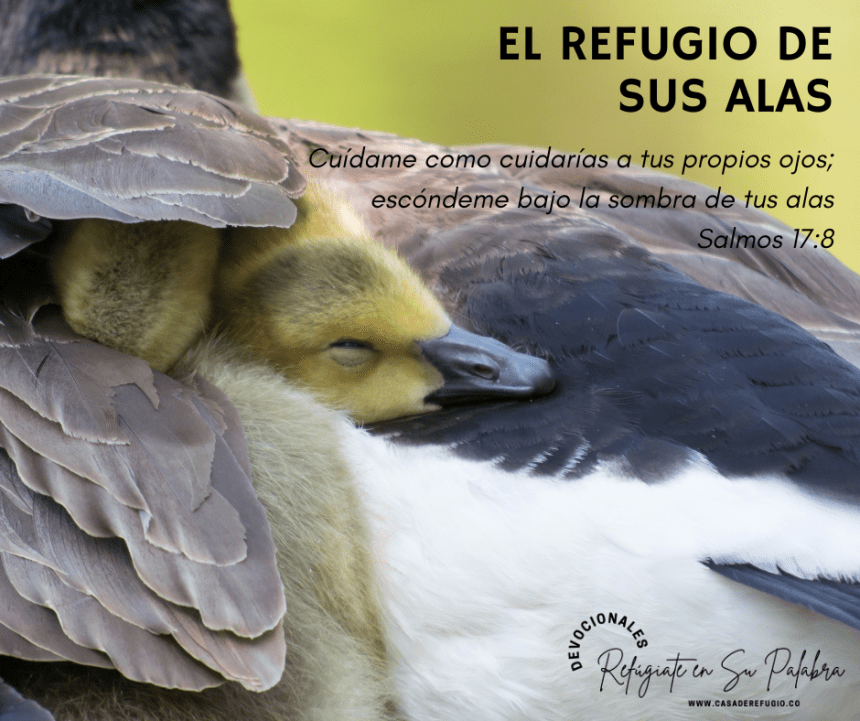 Un Refugio ¡Sus Alas!