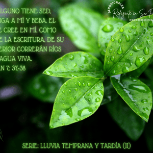 Lluvia Temprana y Tardía II