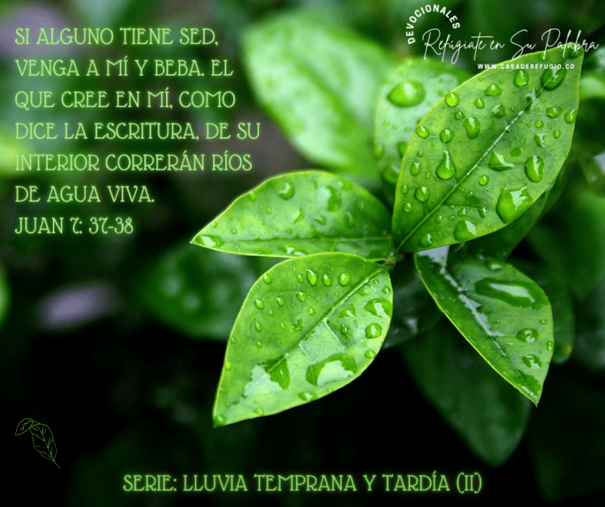 Lluvia Temprana y Tardía II