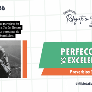 Perfección vs Excelencia