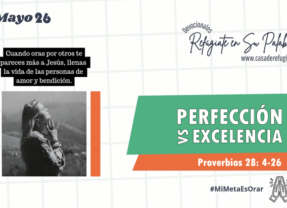 Perfección vs Excelencia