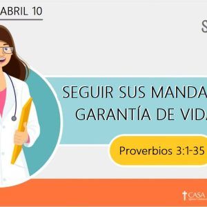 Seguir sus Mandamientos: garantía de vida y paz