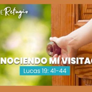 RECONOCIENDO MI VISITACIÓN 13-11-22