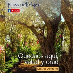 QUEDAOS AQUÍ, VELAD Y ORAD 15-06-22