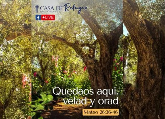 QUEDAOS AQUÍ, VELAD Y ORAD 15-06-22