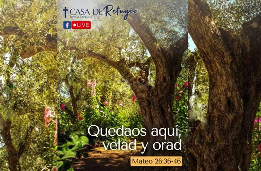 QUEDAOS AQUÍ, VELAD Y ORAD 15-06-22