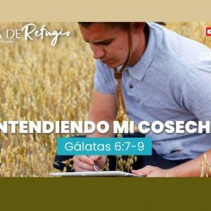 ENTENDIENDO MI COSECHA 06-11-22