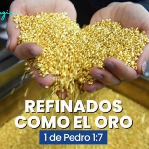 REFINADOS COMO EL ORO 04-09-22